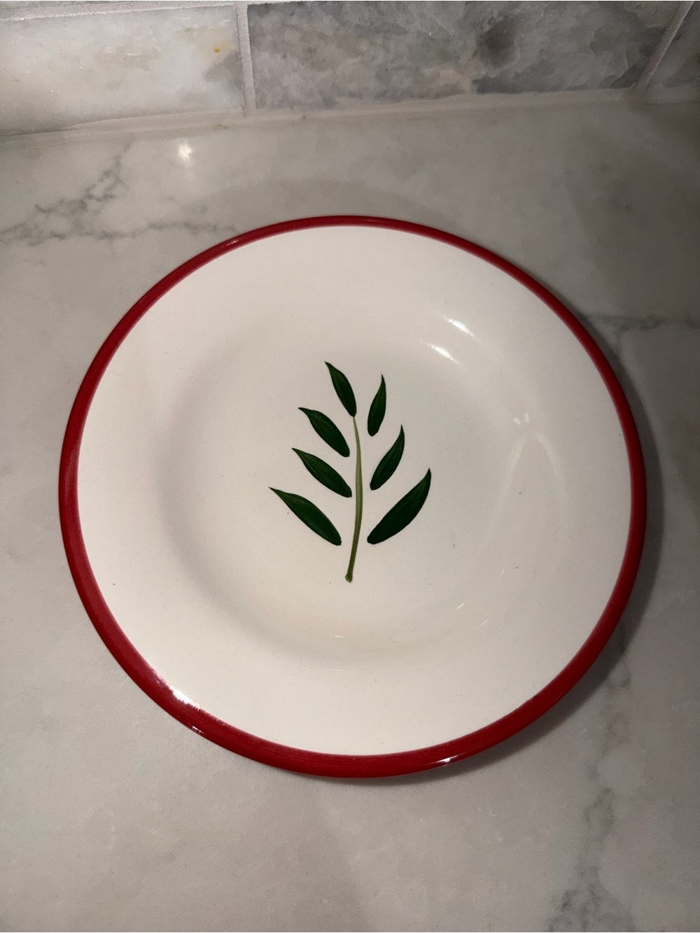 TAG White Ceramic Appetizer Plate Red Rim and Green Leaf Motif with Spreader